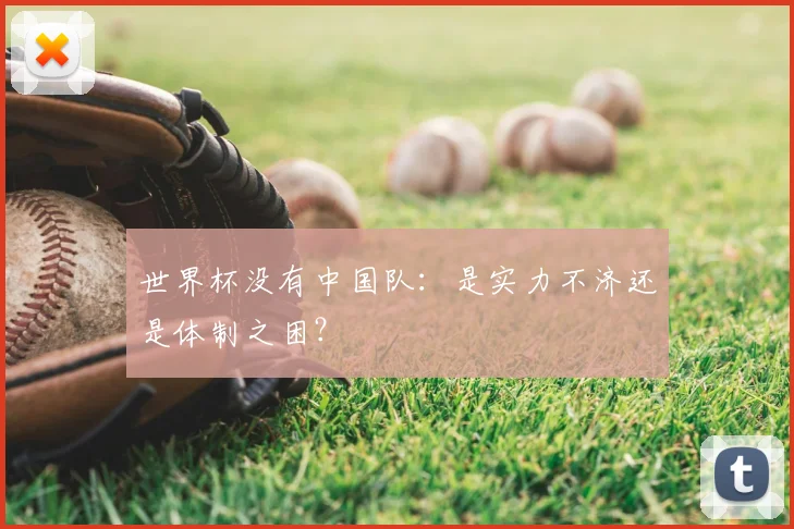 世界杯没有中国队：是实力不济还是体制之困？