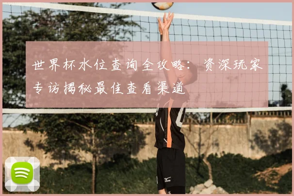 世界杯水位查询全攻略：资深玩家专访揭秘最佳查看渠道