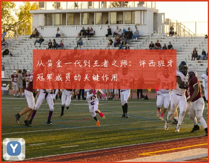 从黄金一代到王者之师：评西班牙冠军成员的关键作用