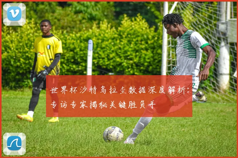 世界杯沙特乌拉圭数据深度解析：专访专家揭秘关键胜负手
