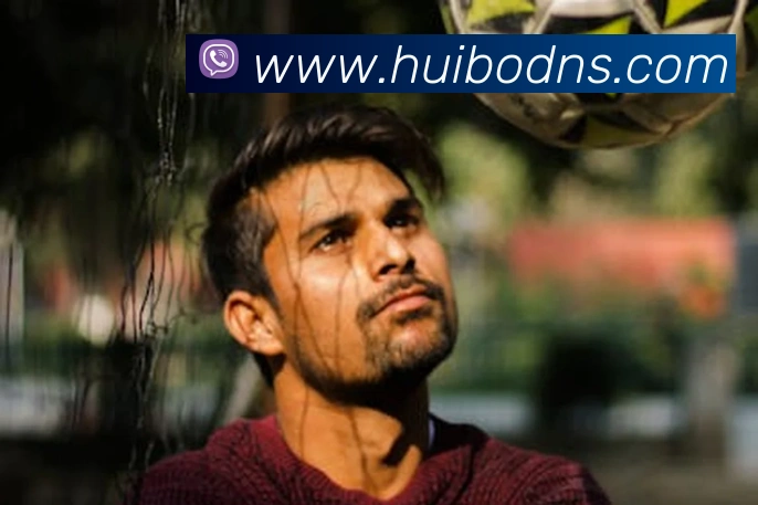 App Interface Preview